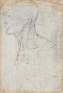 Umkreis by Battista Franco