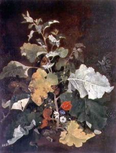 Study of a Burdock by John Crome