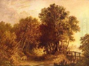 Wooded Lane