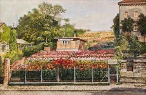 Dahlienbauer In Wien