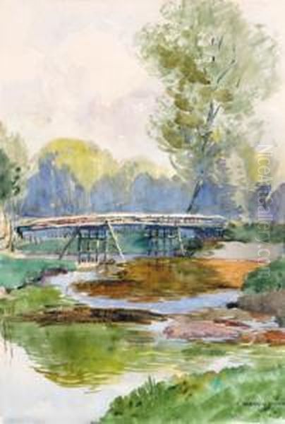 Steg In Der Lobau - view 1