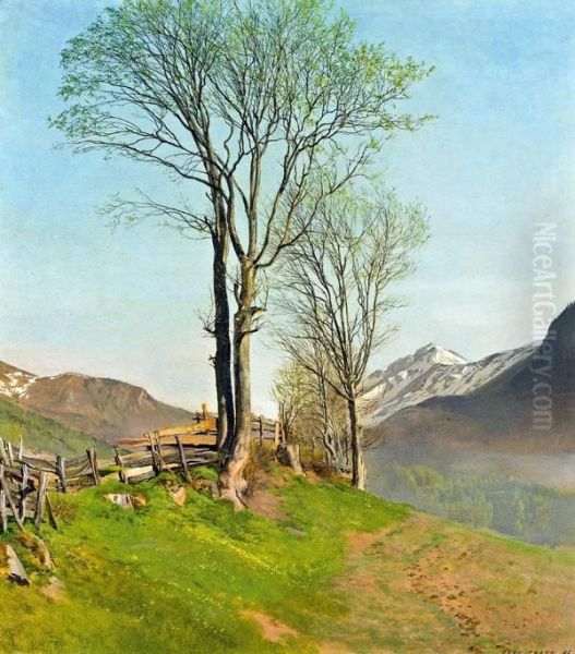 Maimorgen - view 1