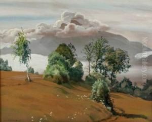 Schafberg Von Mondsee Aus Gesehen by Hans Frank