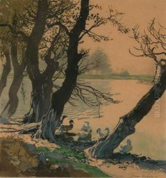 Enten Am Wasser - view 1