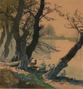 Enten Am Wasser by Hans Frank