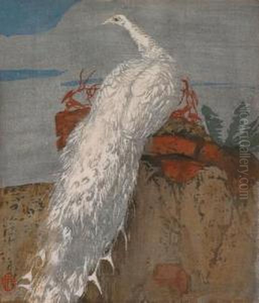 Weiser Pfau - view 1