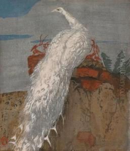 Weiser Pfau by Hans Frank
