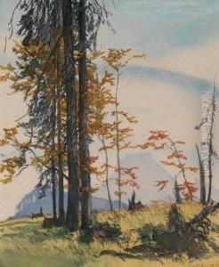 Blick Aufden Traunstein by Hans Frank