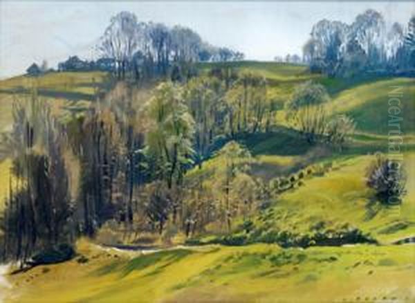 Vorfruhling In Rainbach - view 1