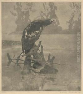 Sea Eagle by Hans Frank