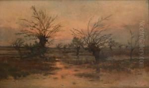 Coucher De Soleilsur Le Marais by Lucien Frank