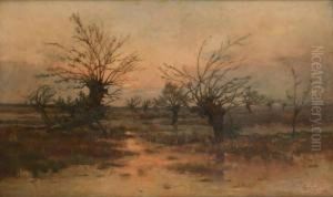 Coucher De Soleil Sur Le Marais by Lucien Frank