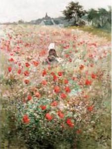 Poppy Field Poppy Field