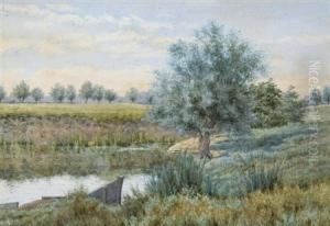 A Quiet Stretch Of The River by William Fraser Garden
