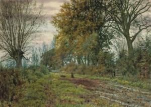 Rabbits On A Country Path