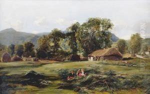 In The Hayfield