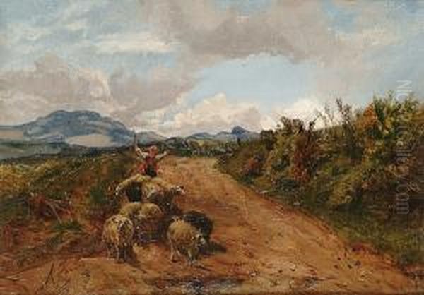 Shepherd And His Flock On A Country Track - view 1