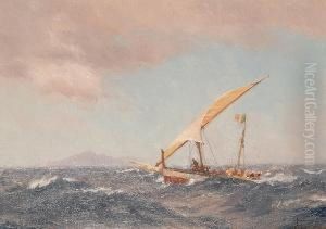 The Island Of Palma by John Fraser