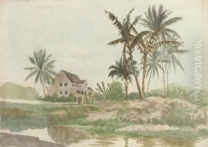 Barbados Landscapes