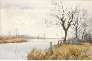 River Landscape