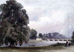 The Serpentine, Kensington Gardens