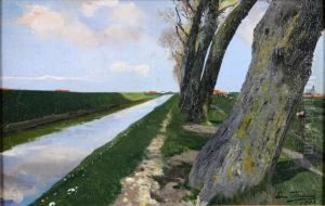 Canal Arbore Canal Arbore