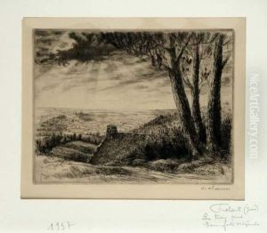 Paysage D'hiver