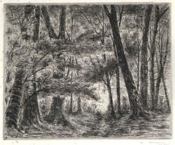 Les Grands Arbres - view 1