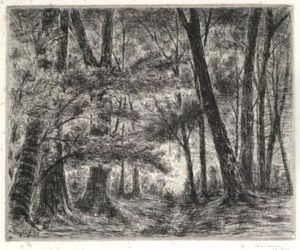 Les Grands Arbres