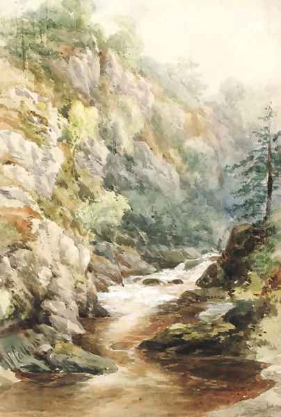 In Glen Finlas - view 1