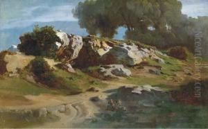 Rocce Nel Paesaggio