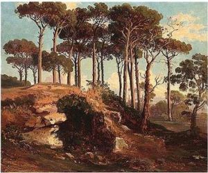 Pine Wood Near Nemi