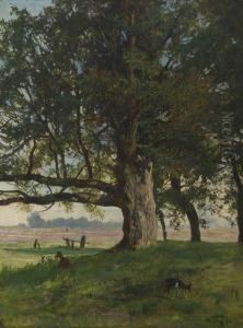Baumlandschaft Mit Ziegen.