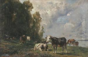 Weidende Kuhherde
