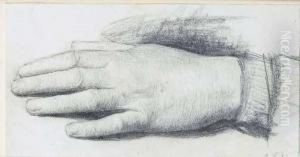 Study Of A Child's Hand