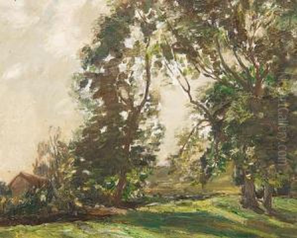 June - view 1