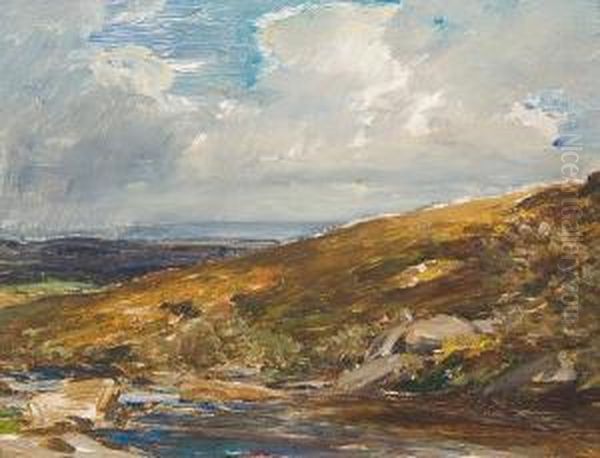 The Stream, Belstone, Devon - view 1