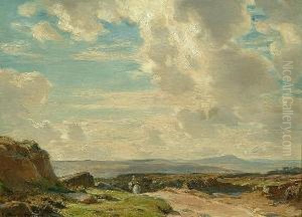 On Dartmoor - view 1