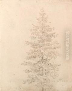 Fichtenbaum (recto); And Wldchen (verso) by Caspar David Friedrich