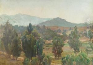 Houses In Escondido Valley