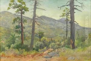 Cuyamaca Mountains, Gilman Point by Charles Arthur Fries