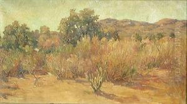 Late Afternoon In The Desert - view 1