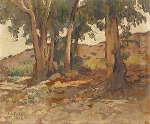 Eucalyptus In North Cholla Valley - view 1