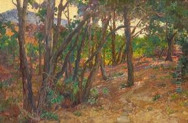 Late Afternoon Light - view 1