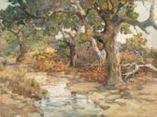 Water Source - view 1