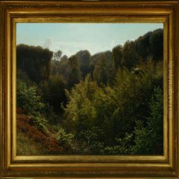 Forrest Scenery With Fox And Kite - view 1