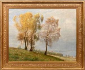 Grose Spatsommerlandschaft Mit Birken Vor Einer Danischen Bucht by Andreas Fritz