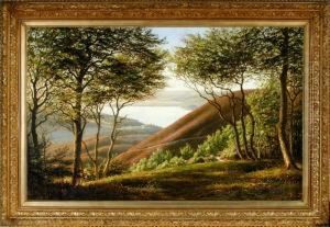 Landscape Near Silkeborg Town, Jutland by Andreas Fritz
