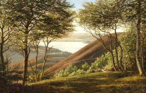 Landscape Near Silkeborg, Jutland - view 1