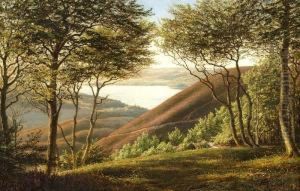 Landscape Near Silkeborg, Jutland by Andreas Fritz